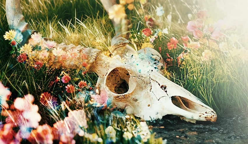 Вышел трейлер фолк-хоррора The Fading of Nicole Wilson авторов The Suicide of Rachel Foster