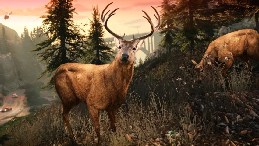 Digital Foundry: обновление GTA 5 на PC намекнуло на функции трассировки лучей в GTA 6