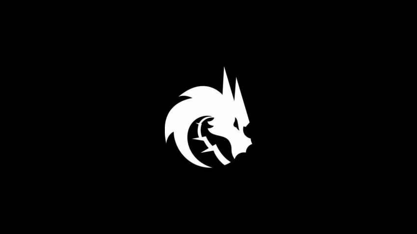 Возможные изменения в составе Team Spirit по Counter-Strike 2